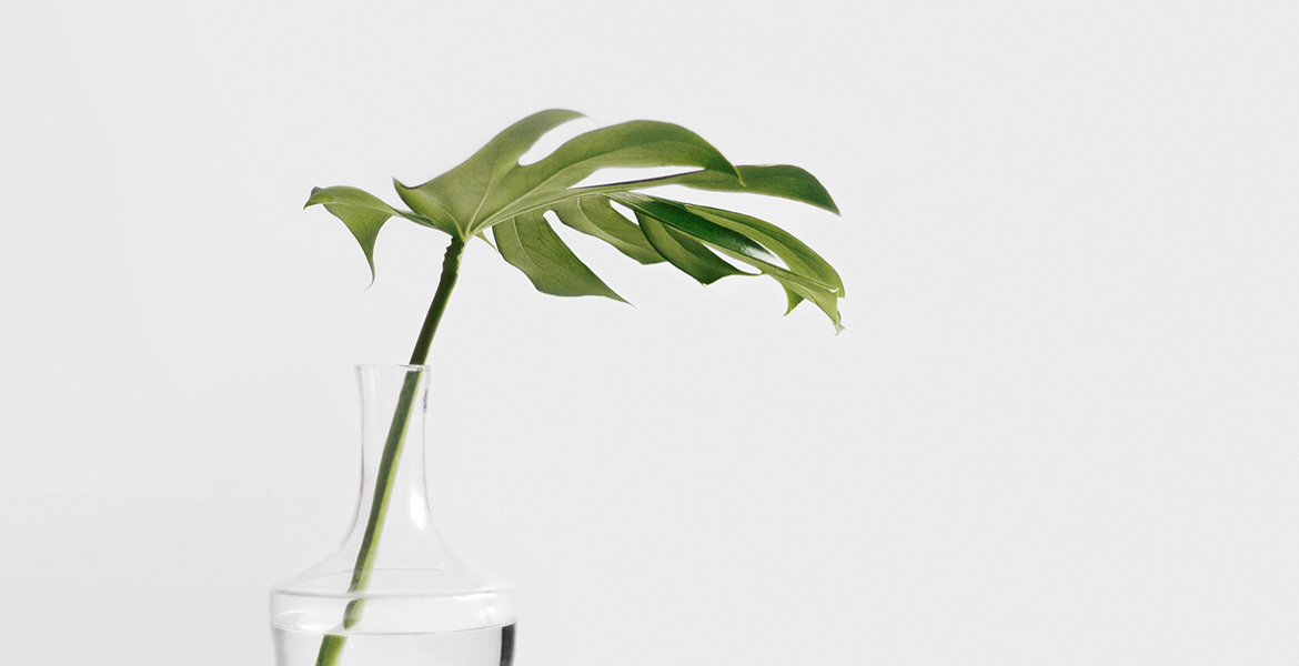 Minimalism 6 3