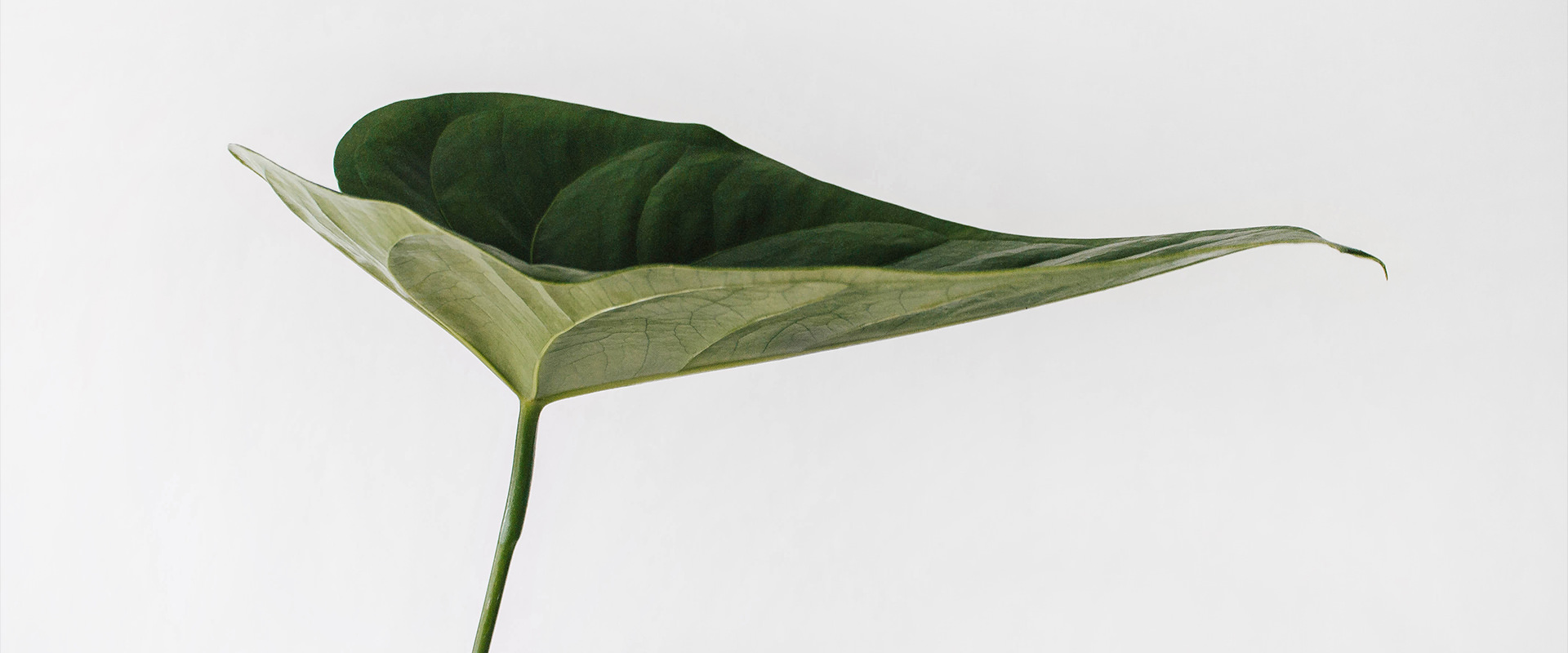Minimalism 1 featured img
